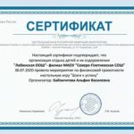 Сертификат ДОЛ-игра